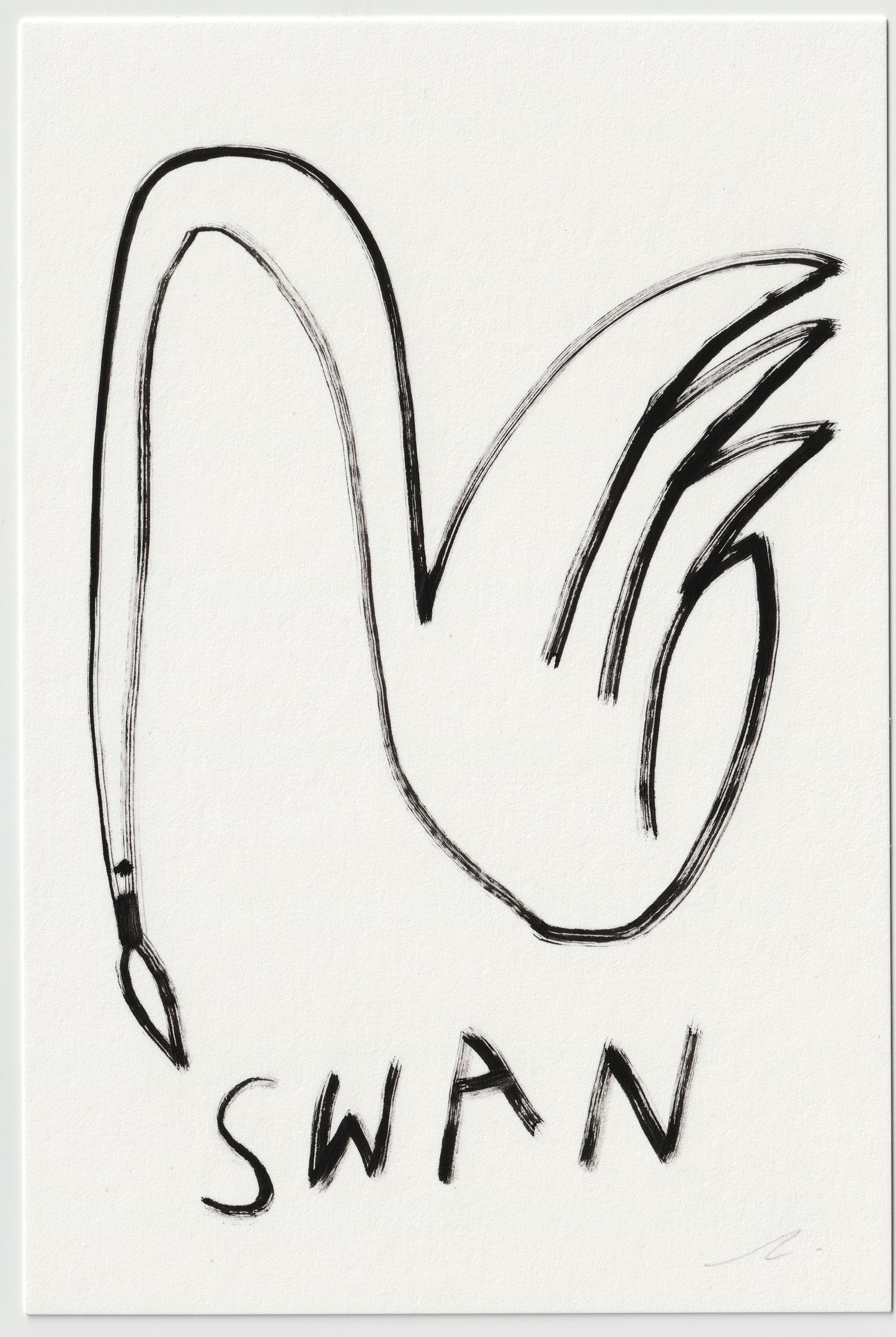"Little Swan I"