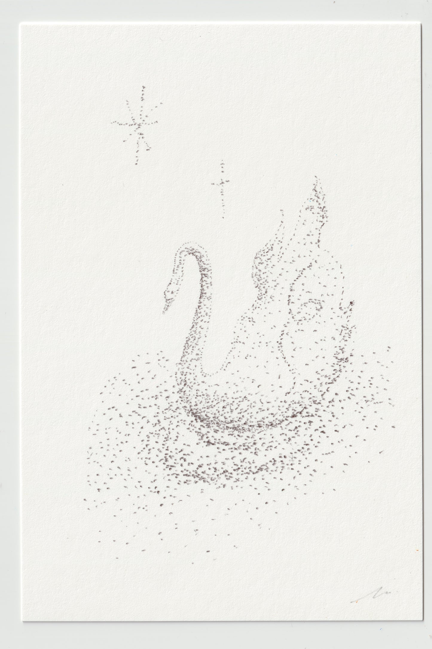 "Swan I (Dust)"
