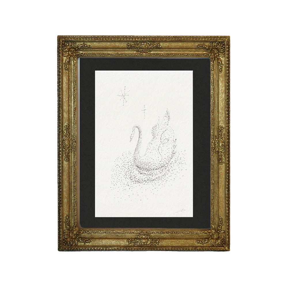 "Swan I (Dust)"