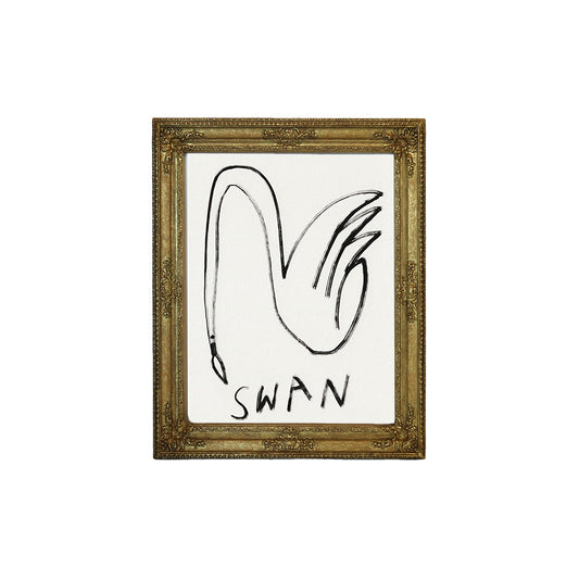 "Little Swan I"